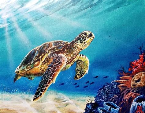 Turtle Painting Caribbean Reef Turtle By Marco Antonio Aguilar