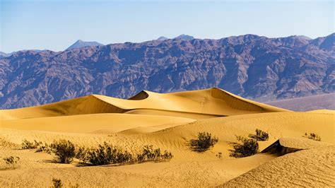 Download Wallpaper 2560x1440 Desert Dunes Mountains Sand Bushes