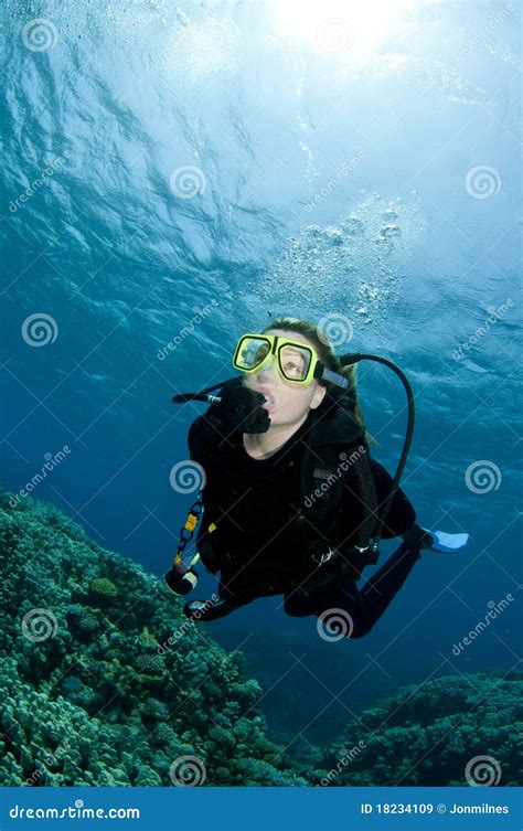 Scuba Diver Exploring Undersea Stock Image Image Of Adventurer