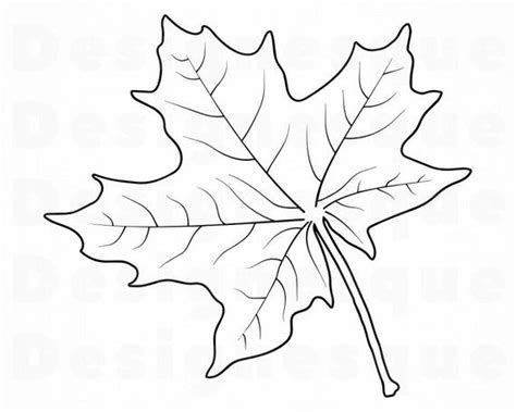 Maple Leaf Outline 3 Svg Maple Leaf Svg Autumn Maple Leaf Etsy In