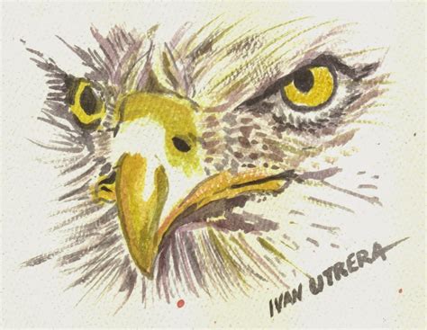 Aguila En Acuarela Dibujo A Lapicero Dibujo A Boligrafo Draw