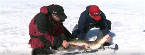 Monumental Pike Ice Fishing At Lake Of The Woods Video Babe Winkelman