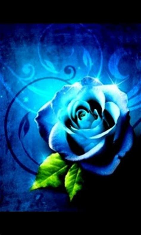 Free Download View Bigger Blue Rose 3d Live Wallpaper For Android