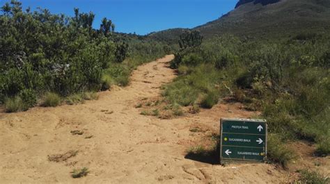 Hiking And Picnics At The Helderberg Nature Reserve In
