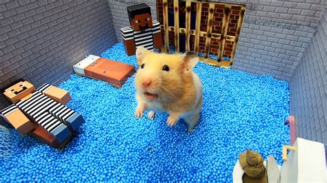Hamster Escapes The Awesome Minecraft Maze With Underwater Obstacle