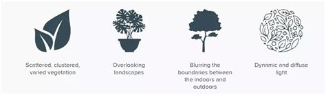 Unlocking Natures Benefits Our Biophilic Design Approach