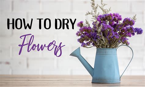 The deeper and more powerful of a connection you feel to certain flowers translates into lifting more energy. How To Dry Flowers: Unexpected Drying Methods That WORK ...