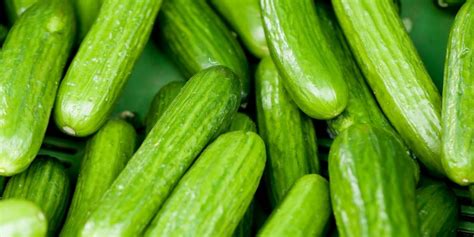Cucumber Recall Expanded Due To Salmonella Risk Report Canada Journal News Of The World