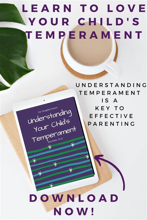 Understanding Your Childs Temperament The Thoughtful Parent