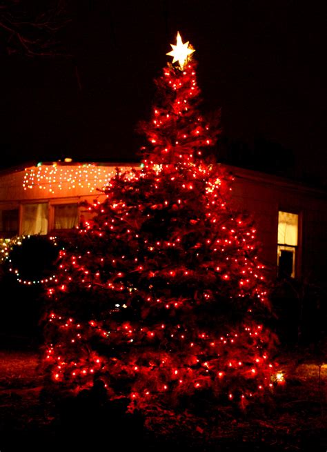 Christmas Tree With Red Lights Picture Free Photograph