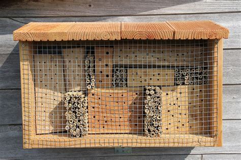 How To Build Bee Hotels For Solitary Bees Mason Bee House Mason Bees