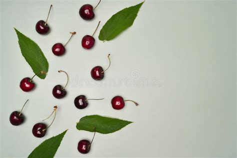 Ripe Cherries With Leaves On Green Background Stock Image Image Of