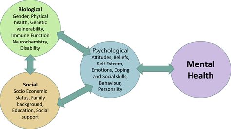 Biopsychosocial Model Mickscotraining