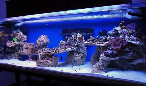 Here are some beautiful aquascaped tanks to give you some ideas of what you might accomplish in your aquarium with the right hardscape and design. How to drill live rock? - Reef Central Online Community ...