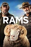 Ver Rams (2020) Película Completa Sub Español - Verfilmicsea