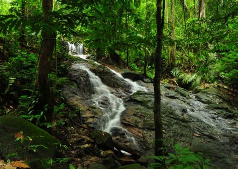 Sabah forest department protection forest reserves are strictly protected. Best Places To Go Hiking In Malaysia?