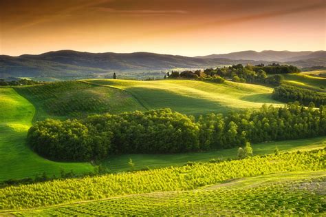 Italy Scenery Fields Tuscany Nature Wallpapers Hd Desktop And