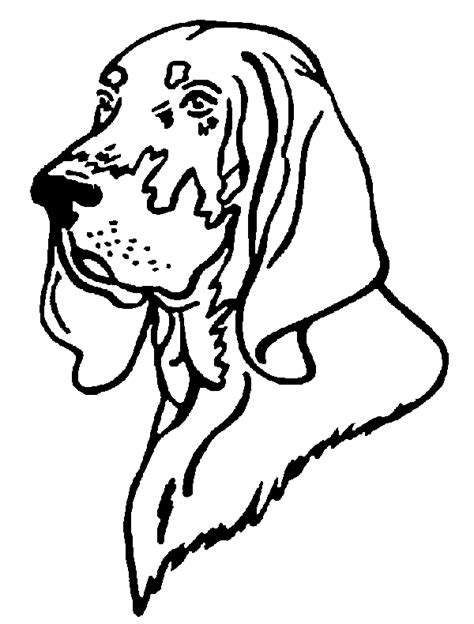 Coon Hunting Dog Pages Coloring Pages