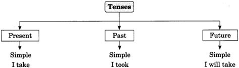 Tenses Exercises For Class 8 Cbse With Answers