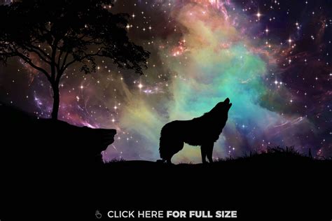 Download Wolves Images Howling Wallpaper And Background Photos Wolf