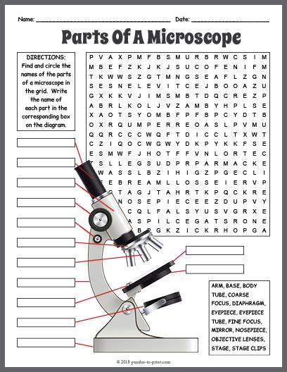 Parts Of A Microscope Word Search Puzzle Worksheet Activity Made By