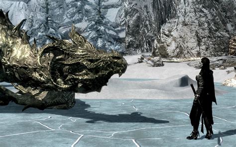 Uesp Forums View Topic The Skyrim Photographers Guild