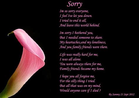 Im Sorry Poems Poem By Horrormaster A Poem About A Friend Made