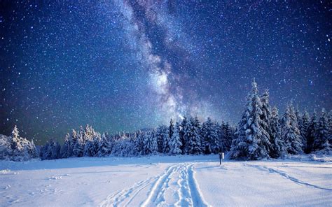 Starry Sky Over Winter Forest Hd Wallpaper Hintergrund 1920x1200