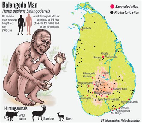 Foods Of Sri Lankan Late Pleistocene Man Anthroology