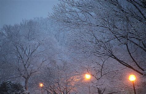 Winter 2010 00004 I Love Falling Snow At Night In Urban Flickr