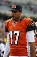 Colts Trying to Convince QB Jason Campbell to Unretire