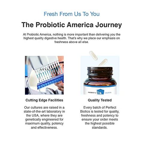 Probiotic America® Perfect Biotics 30 Billion Cfus Digestive And Immune Support Supplement 30