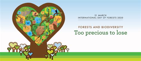The theme of world environment day 2020 this year is celebrating biodiversity. International Day of Forests | Food and Agriculture ...