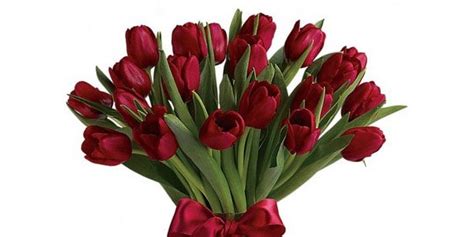 A la mayoría de nuestras madres les encanta las flores, por esta razón en este artículo te voy a recomendar las flores adecuadas para el cumpleaños. Las mejores flores para mamá en el Día de las Madres 2021