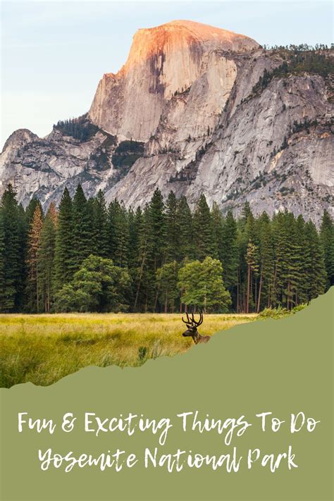 Fun And Exciting Things To Do At Yosemite National Park Crazy Camping