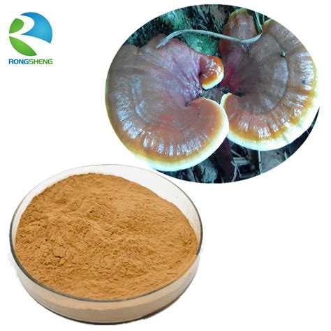 High Quality Natural Ganoderma Lucidum Spore Powder Buy Ganoderma