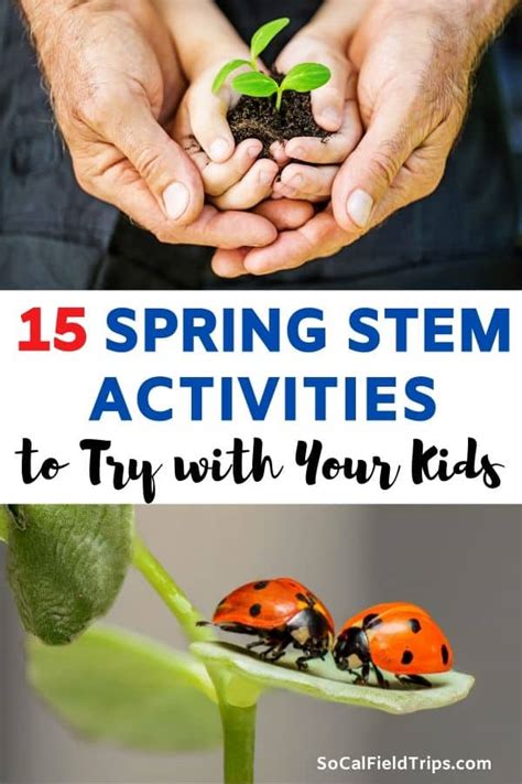 15 Spring Stem Activities For Homeschoolers Socal Field Trips