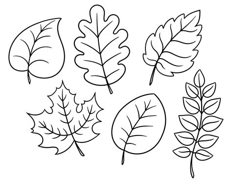 Leaf Cut Out Template Printable