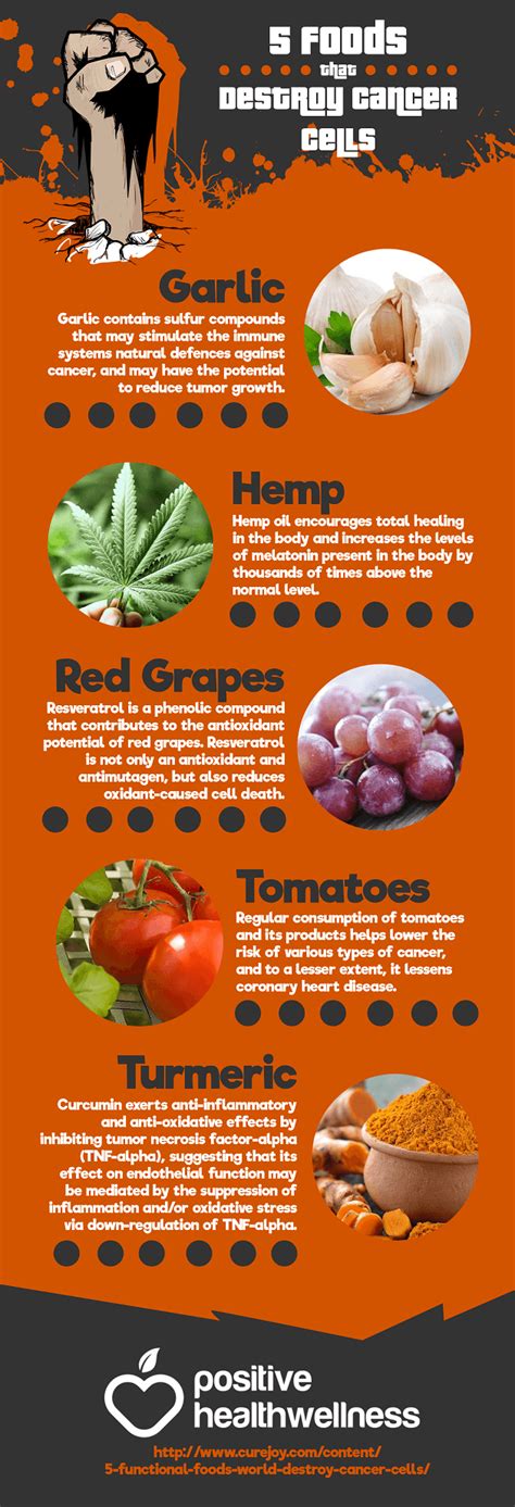 When talking about cancer, this is a disease caused by the growth of abnormal cells in the body and they harm our body in multiple ways. 5 Foods that Destroy Cancer Cells - Infographic
