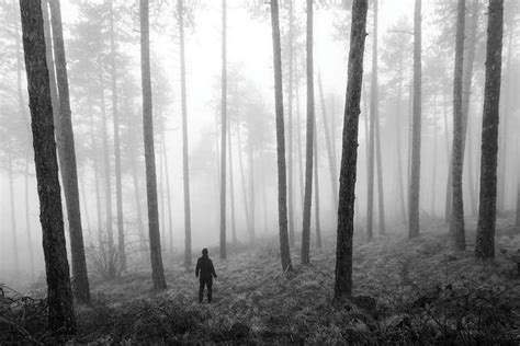 People Who Get Lost In The Wild Follow Strangely Predictable Paths New Scientist