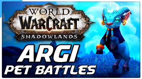 Argi Pet Battle PvP World Of Warcraft Shadowlands Competitive WoW