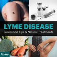 Lyme Disease Natural Treatments, Causes, How to Prevent - Dr. Axe