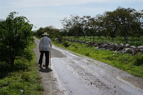 Free Images Nature Life People Roads Walking Old Man Young Boy