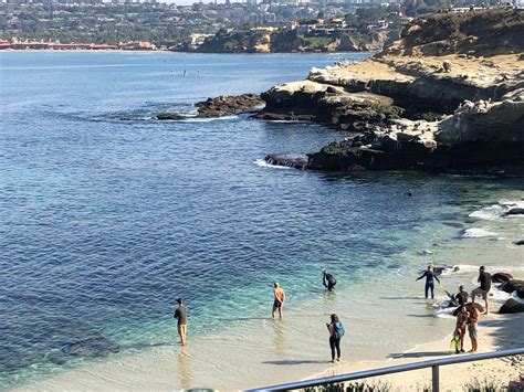 Old Town Trolley La Jolla And San Diego Beaches Tour Tripster