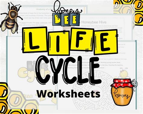 Life Cycle Of A Bee Insect Worksheet Honeybee Printable Etsy
