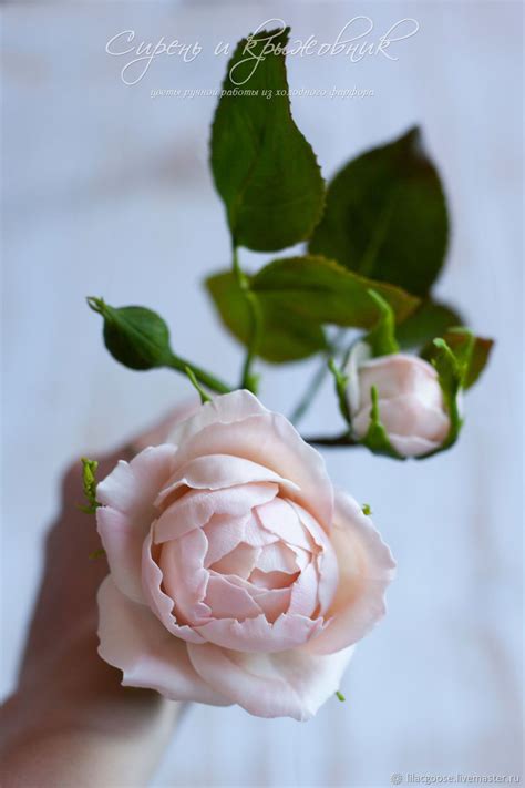 Розы - заказать на Ярмарке Мастеров - ISBUJRU | Цветы, Москва | Цветы, Розы, Сирень