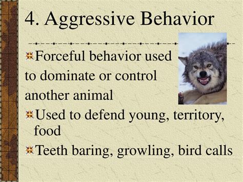 Ppt Animal Social Behaviors Powerpoint Presentation Free Download