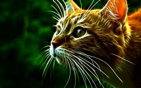 Free Download 3d Comes With Fire Cats Wallpaper 2000x1249 For Your