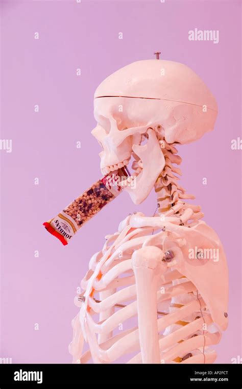 A Human Skeleton Eating A Biscuit Stock Photo Alamy