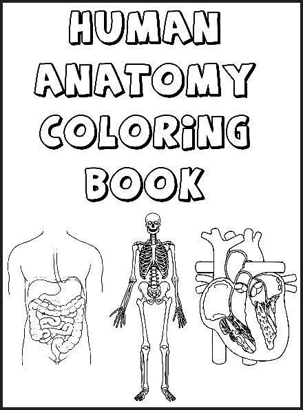 Human Body Systems Coloring Pages Anatomy Coloring Book Human Body Teaching Human Body Systems
